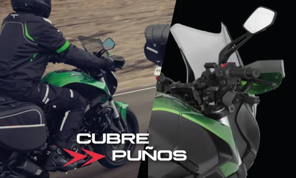 BAJAJ DOMINAR 400 - Imagen 2